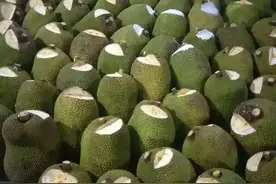 为什么进口菠萝蜜，都会被砍一刀（附菠萝蜜知识大全）图片