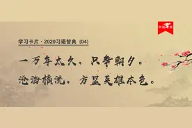 2020习语智典(04)：「只争朝夕」「沧海横流」图片