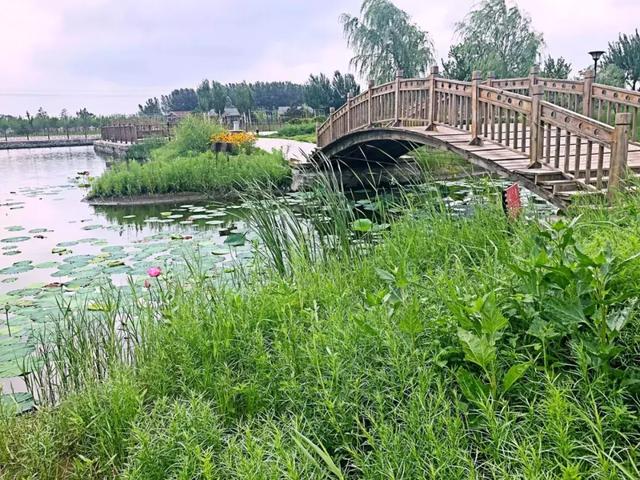 英雄上马的地方——通辽市科左后旗