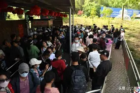 索道排队两小时，万余江浙沪游客扎堆皖南无名小山，有啥神奇？图片