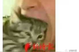 23岁B站UP主被曝因贫病交加死亡，曾发动态“想吃草莓可惜太贵”图片
