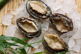 头一回吃鲍鱼，当问你要“几头”时，网友：不会回答真是丢大人了图片