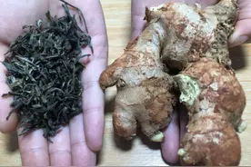 茶叶和生姜一起泡水喝，作用真的厉害了，我也是才知道，长见识了图片