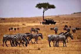 想去非洲工作，这些禁忌，你必须要了解图片