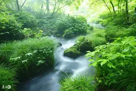 故事：独孤求败难逢对手，却无力与天抗争搏斗，一代剑魔终究陨落图片