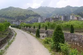 从“家庭林场”变身“绿色银行”图片