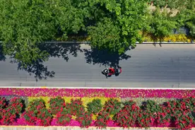 郑州道路改造的必要性是什么？金水路中州大道要改造什么？灾情疫情叠加施工能否继续？记者专访有关负责人图片