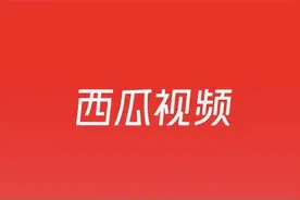 西瓜视频关于打击侵犯版权行为的公告｜11月1日-12月31日图片