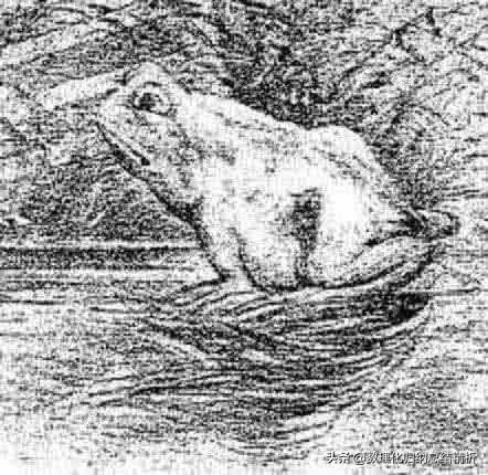 生物高考总复习策略及题型归纳、答题技巧