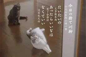 亲历：践行极简主义1年后，我把我极简的经验+教训分享给你图片