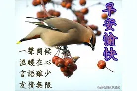 不论你身在天涯海角，我将永远祝福你，希望你开心快乐，幸福永远图片