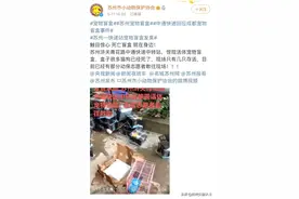 又是中通！快递站发现宠物盲盒快件13件，动物已死亡图片