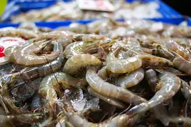 大虾冷冻保存，切忌直接放冰箱，教你一招，保存更久，肉质更新鲜图片