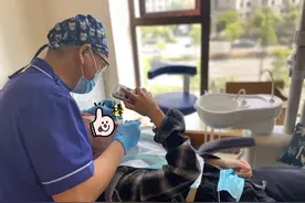 舒适化口腔诊疗 | 从小害怕牙医的她，来亮贝美口腔医院是这样拔牙的图片
