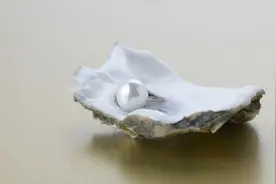 古人用贝壳做货币，为何穷人不多捡点贝壳让自己脱贫？原因很现实图片