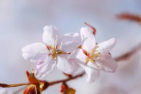 真正富有的人，一眼就能识破图片