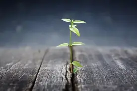 继父把我养大，结婚时他给我张银行卡，我查完余额，把卡还给了他图片