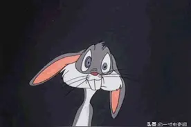 你了解兔子吗？被放屁崩死不算什么，我的兔子被我盘怀孕了！图片