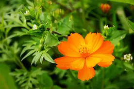 红尘人间遇见一个你，深深刻在我心底，因为深爱，所以惦记图片