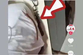 大学生住酒店发现枕头边有条长蜈蚣，索赔300元遭拒！酒店经理：下次到店免费入住两晚图片