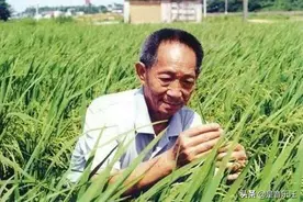 袁隆平住院原因曝光，在试验基地摔了一跤，之后身体状况急转直下图片