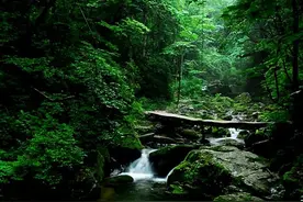 好人有好运，积德行善有后福图片