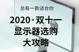 总有一款适合你 2020·双11 显示器选购大攻略图片