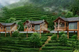 小木屋住一晚花880元，成本每栋才5万起，住上一晚是什么感觉？图片
