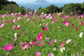 日本留学生活篇：日本老百姓的真实生活，看完你还去日本定居吗？图片