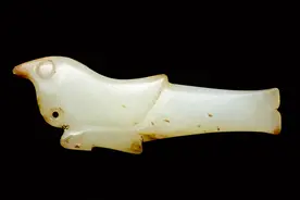 王者玩具-40万成交的小小鸟，简约美的极致图片