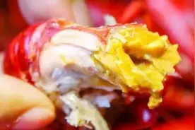 虾头部分是“屎”还是“黄”？这次告诉你了，别再傻傻分不清哦图片