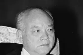 1996年，副国级干部李沛瑶在家中遇害，拉开一场全国严打序幕图片
