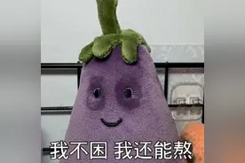 表情包：我不困，我还能熬（19）图片