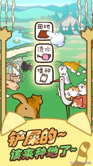 《猫咪田园》萌系猫咪养成游戏，猫咪爱好者的狂欢！3月12日上线