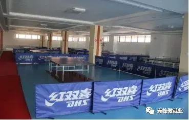 @赤峰人，内蒙古伊品生物科技有限公司招聘简章