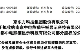 面板行业最大并购！京东方拟121亿吞下中电熊猫两条产线图片
