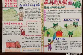 忻州市实验小学组织办手抄报活动宣传预防森林火灾图片