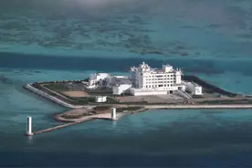 细微处看南沙东门岛，除了高楼大厦外，已开始形成完整的岛礁生态图片
