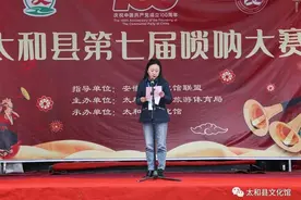 太和县举办第七届唢呐大赛图片