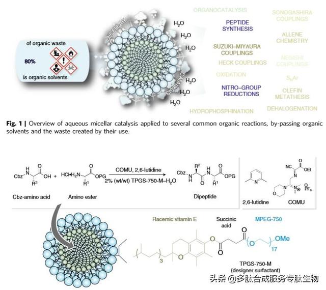 新型的合成肽方法：在水中制备多肽
