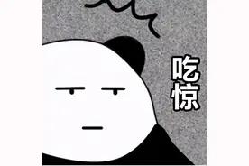 厦门一男子花近千元买了两只龟，结果郁闷了…图片