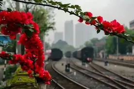 她历经百年，如今依然魅力十足！图片