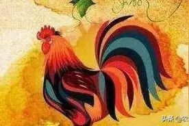 古人俗语“男怕属鸡，女怕属羊”，这是什么意思呢？图片