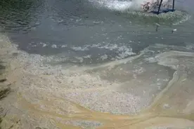 池塘出现各种泡沫，原因不同反映出池塘不同的问题！图片