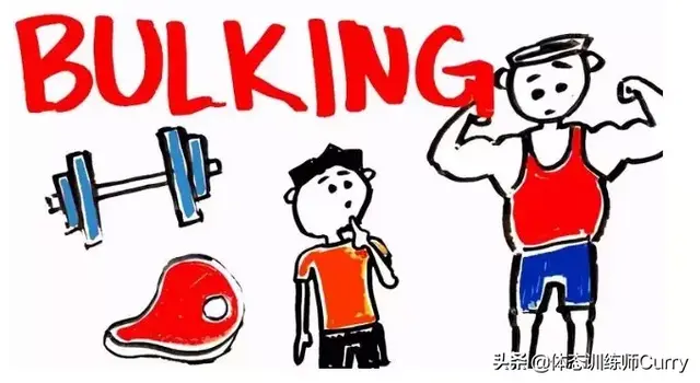 辟谣：蛋白粉vs增肌粉，只有真正了解，才能正确使用