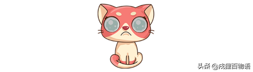 牛磺酸是什么？猫咪需要补充牛磺酸吗？