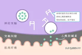 瘦脸针打3次就能定型？听听医生怎么说图片
