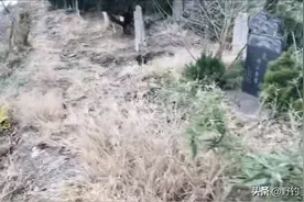 为什么很多钓友拒绝夜钓？怕鬼！其实这几点才是钓友害怕的图片