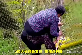 河南：2位大妈现身小树林，“叠罗汉”采摘野味，最终双双倒地图片