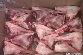 这只“大灰狼”，栽了！图片